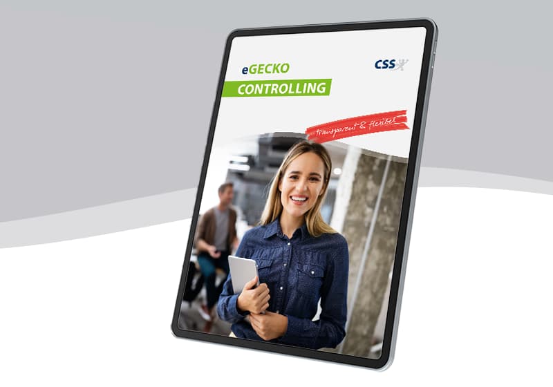 eGECKO Controlling
