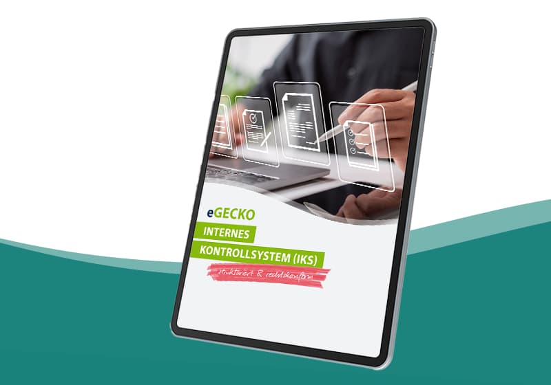 eGECKO Internes Kontrollsystem (IKS)