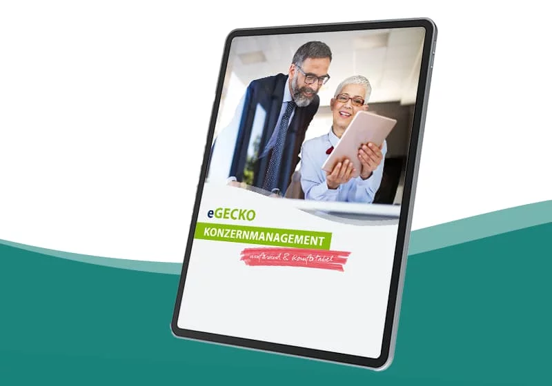 eGECKO Konzernmanagement