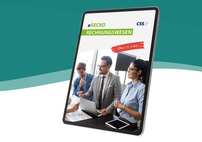 eGECKO Rechnungswesen