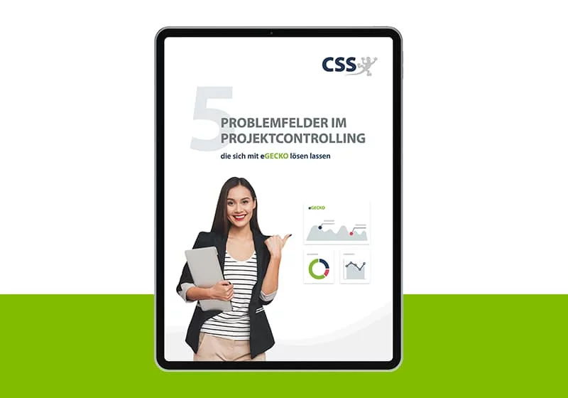 Whitepaper 5 Problemfelder im Projektcontrolling